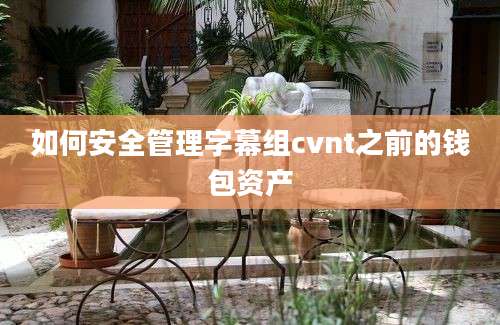 如何安全管理字幕组cvnt之前的钱包资产