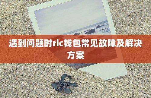 遇到问题时ric钱包常见故障及解决方案