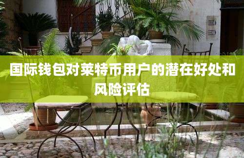 国际钱包对莱特币用户的潜在好处和风险评估