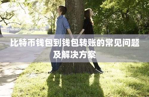 比特币钱包到钱包转账的常见问题及解决方案