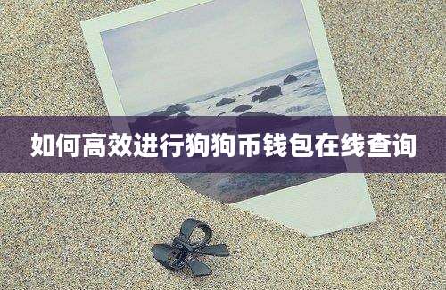如何高效进行狗狗币钱包在线查询