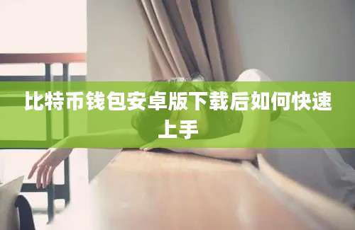 比特币钱包安卓版下载后如何快速上手