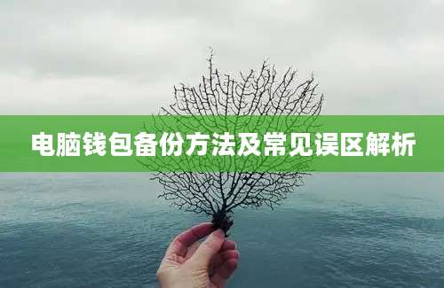 电脑钱包备份方法及常见误区解析