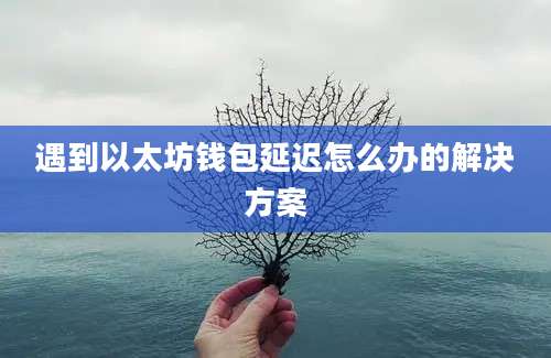 遇到以太坊钱包延迟怎么办的解决方案