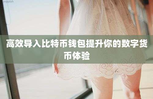 高效导入比特币钱包提升你的数字货币体验