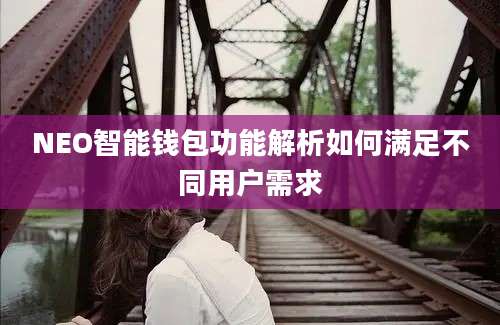 NEO智能钱包功能解析如何满足不同用户需求