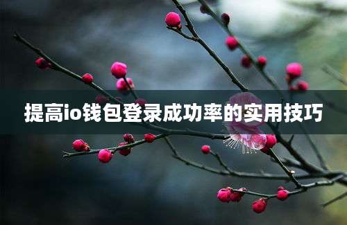 提高io钱包登录成功率的实用技巧