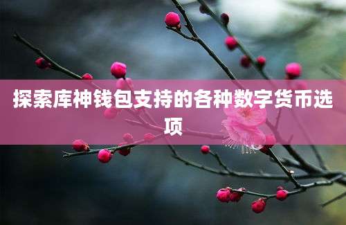 探索库神钱包支持的各种数字货币选项