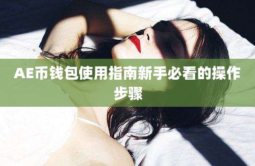 AE币钱包使用指南新手必看的操作步骤