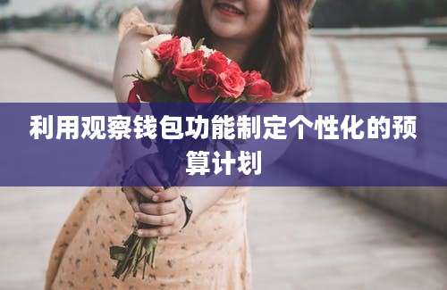 利用观察钱包功能制定个性化的预算计划
