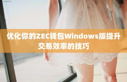 优化你的ZEC钱包Windows版提升交易效率的技巧