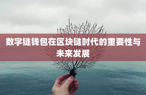 数字链钱包在区块链时代的重要性与未来发展