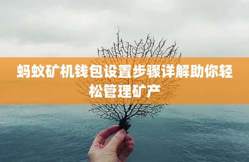 蚂蚁矿机钱包设置步骤详解助你轻松管理矿产