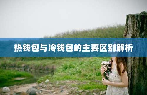 热钱包与冷钱包的主要区别解析