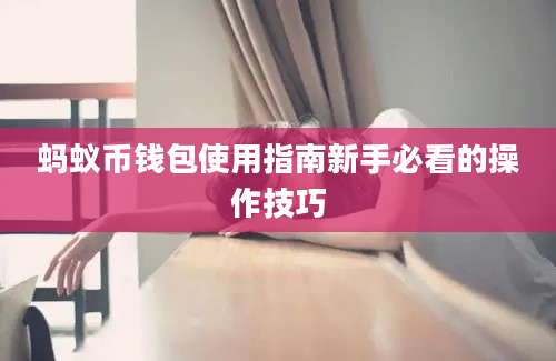 蚂蚁币钱包使用指南新手必看的操作技巧