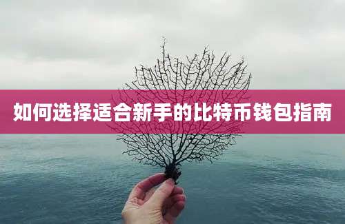 如何选择适合新手的比特币钱包指南