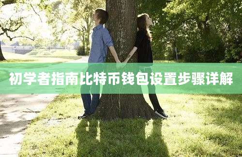 初学者指南比特币钱包设置步骤详解
