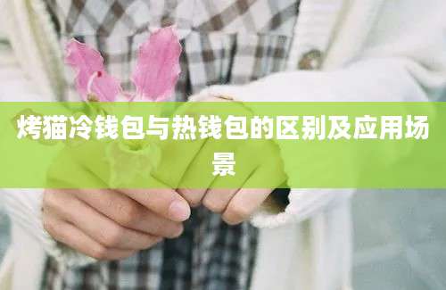 烤猫冷钱包与热钱包的区别及应用场景