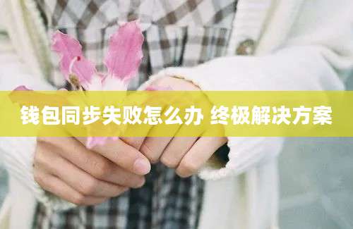 钱包同步失败怎么办 终极解决方案