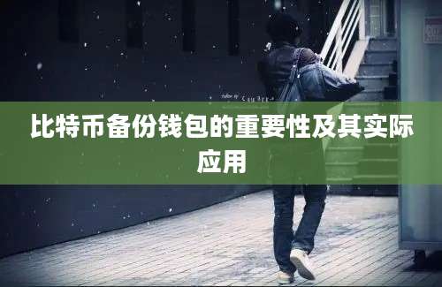 比特币备份钱包的重要性及其实际应用