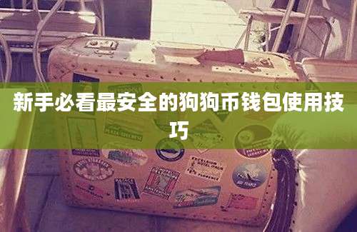 新手必看最安全的狗狗币钱包使用技巧