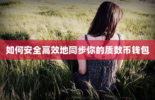 如何安全高效地同步你的质数币钱包