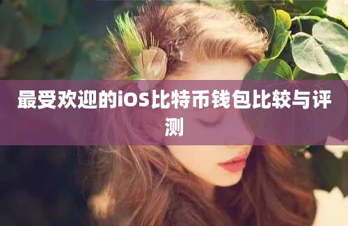 最受欢迎的iOS比特币钱包比较与评测