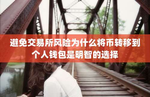 避免交易所风险为什么将币转移到个人钱包是明智的选择