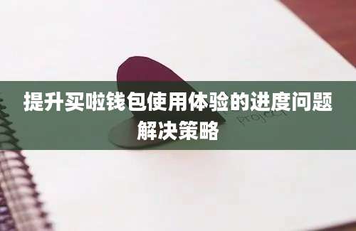 提升买啦钱包使用体验的进度问题解决策略