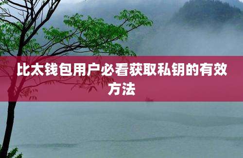 比太钱包用户必看获取私钥的有效方法