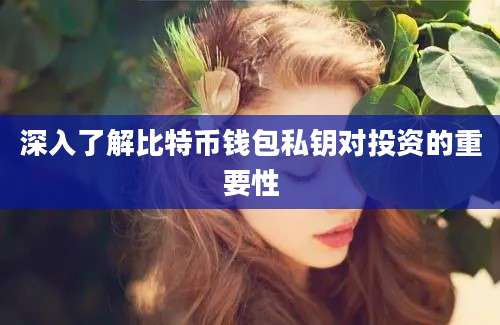 深入了解比特币钱包私钥对投资的重要性
