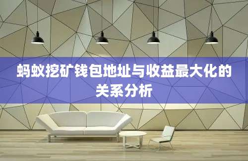 蚂蚁挖矿钱包地址与收益最大化的关系分析