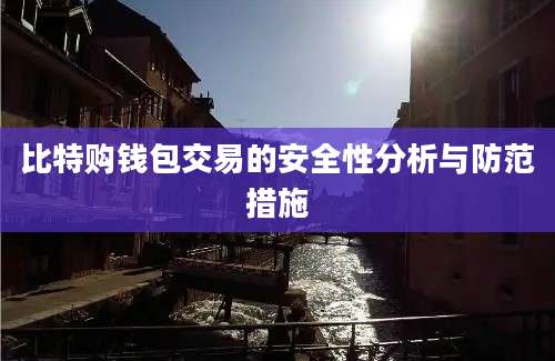 比特购钱包交易的安全性分析与防范措施