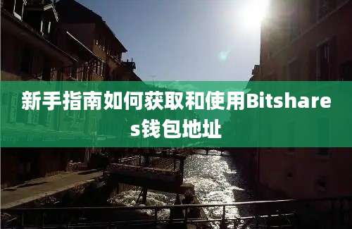 新手指南如何获取和使用Bitshares钱包地址