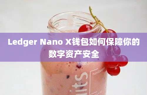 Ledger Nano X钱包如何保障你的数字资产安全