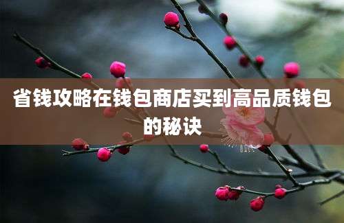 省钱攻略在钱包商店买到高品质钱包的秘诀