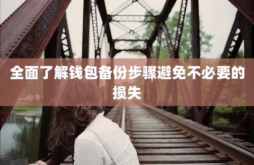 全面了解钱包备份步骤避免不必要的损失
