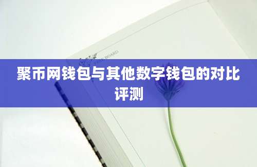 聚币网钱包与其他数字钱包的对比评测