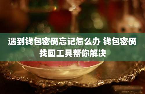 遇到钱包密码忘记怎么办 钱包密码找回工具帮你解决