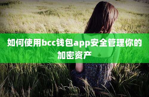 如何使用bcc钱包app安全管理你的加密资产