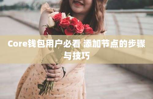 Core钱包用户必看 添加节点的步骤与技巧