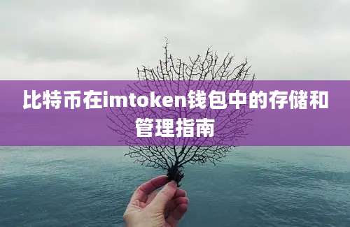 比特币在imtoken钱包中的存储和管理指南