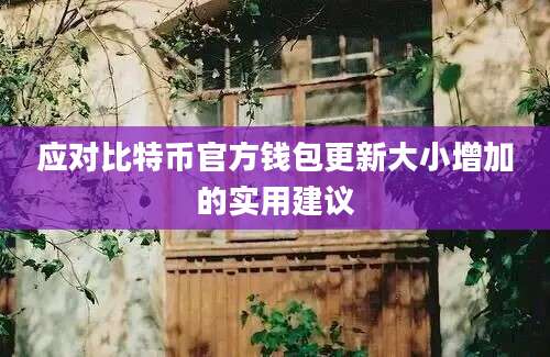 应对比特币官方钱包更新大小增加的实用建议