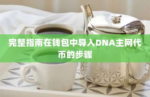 完整指南在钱包中导入DNA主网代币的步骤