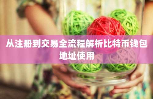 从注册到交易全流程解析比特币钱包地址使用