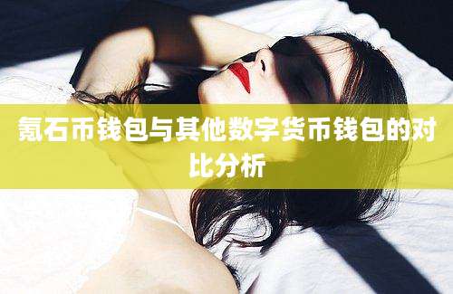 氪石币钱包与其他数字货币钱包的对比分析
