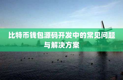 比特币钱包源码开发中的常见问题与解决方案