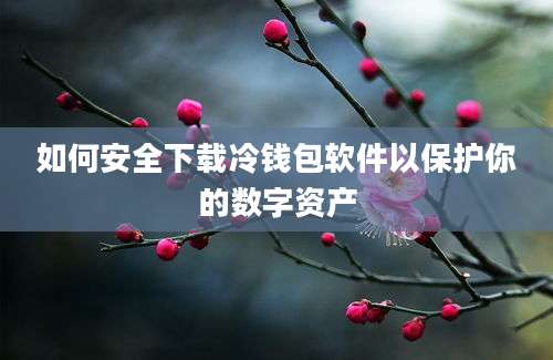 如何安全下载冷钱包软件以保护你的数字资产