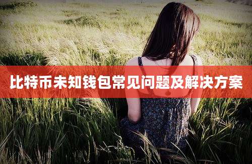 比特币未知钱包常见问题及解决方案