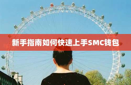 新手指南如何快速上手SMC钱包